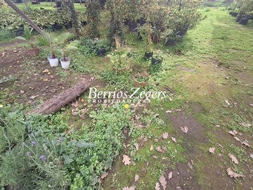 Imagen 11
