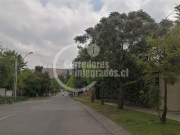 Imagen 9