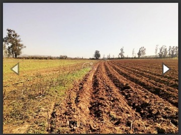 Venta / Sitio / Limache