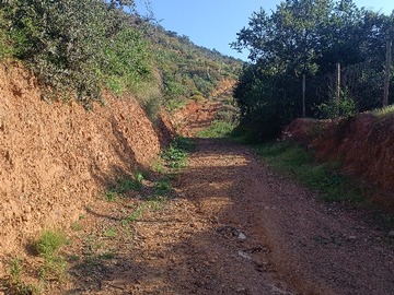 Imagen 9