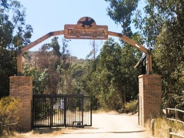 Venta / Sitio / Limache