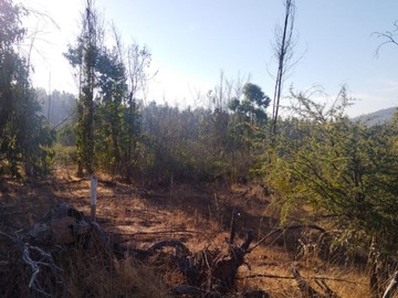 Imagen 16