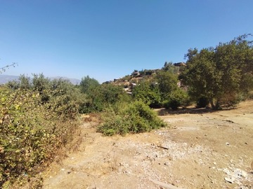 Imagen 8
