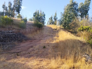 Imagen 17