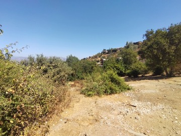 Imagen 6