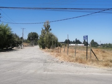 Imagen 7