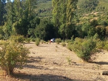 Venta / Sitio / Linares