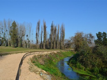 Imagen 5