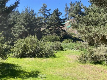 Venta / Sitio / Litueche