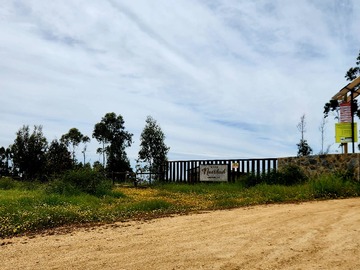 Venta / Sitio / Litueche