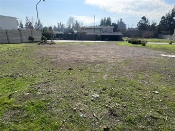 Imagen 6