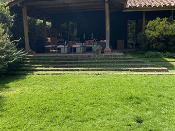 Imagen 7