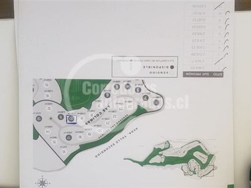 Imagen 13
