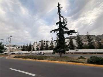 Imagen 17