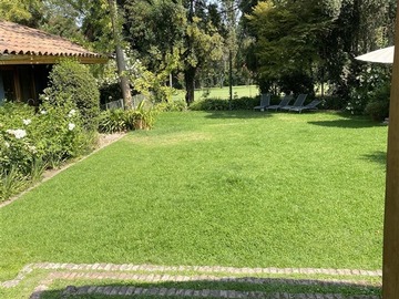 Imagen 6