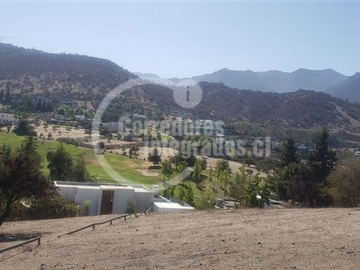 Imagen 7