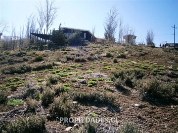 Imagen 6