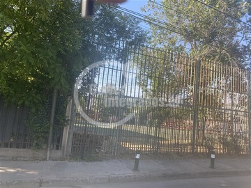Imagen 6