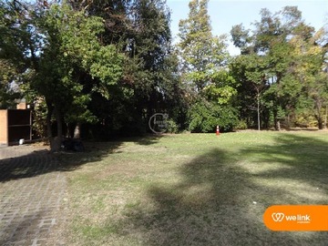 Imagen 4