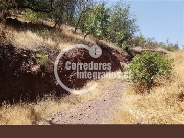 Imagen 9
