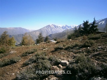 Imagen 8