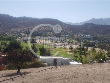 Imagen 6