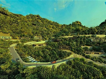 Imagen 7