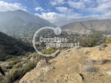 Imagen 11