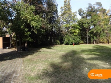 Imagen 5