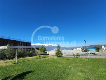 Imagen 7