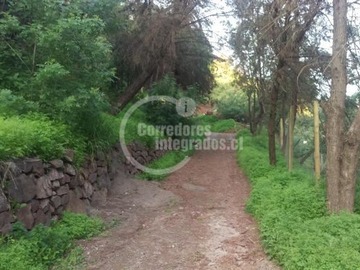 Imagen 6