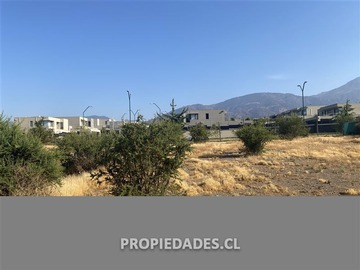 Imagen 8