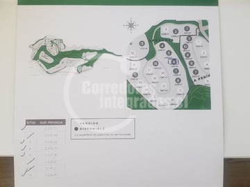 Imagen 12