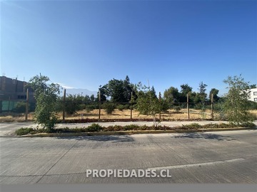 Imagen 9