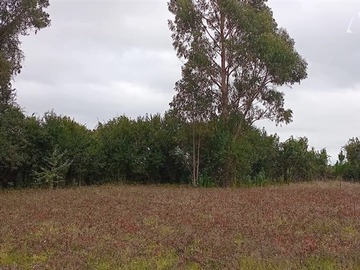 Venta / Sitio / Loncoche