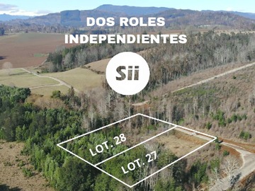 Imagen 8