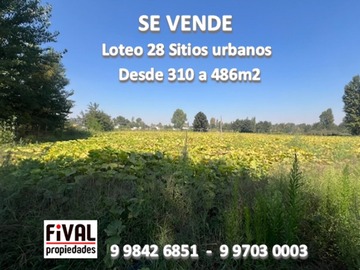 Imagen 0