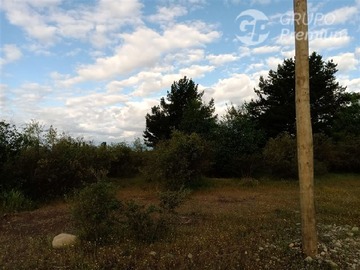 Venta / Sitio / Longaví