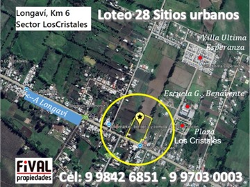 Imagen 5