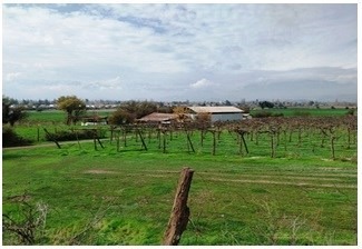 Venta / Sitio / Los Andes