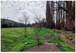 Venta / Sitio / Los Andes