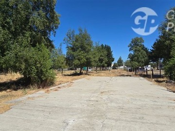 Imagen 11
