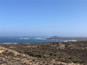 Venta / Sitio / Los Vilos