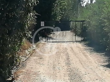 Venta / Sitio / Machalí