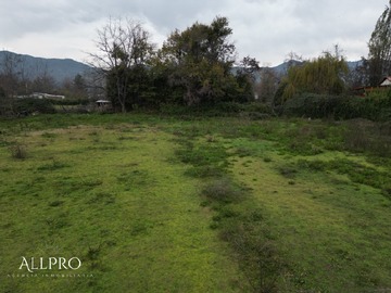 Imagen 6