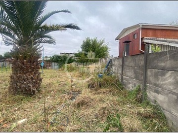 Imagen 5