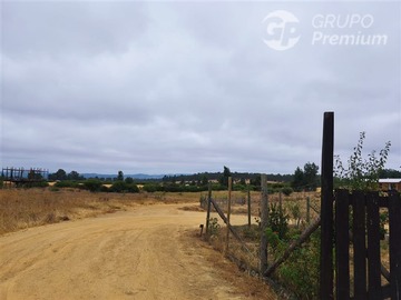 Venta / Sitio / Marchigüe