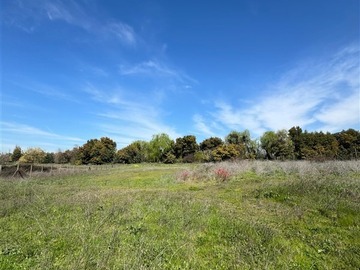 Venta / Sitio / Maule