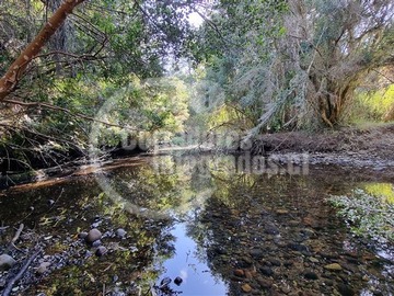 Venta / Sitio / Maullín