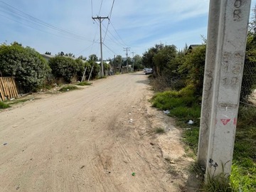 Imagen 6